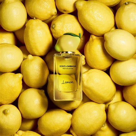 dolce gabbana lemon fruit collection